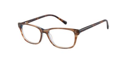 Radley RDO-6050 Glasses