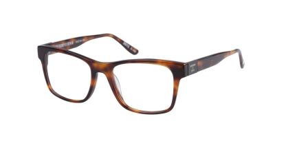 Superdry SDO-2013 Glasses