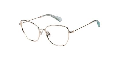 Superdry SDO-3037 Glasses