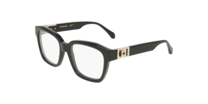 Salvatore Ferragamo SF3040 Glasses