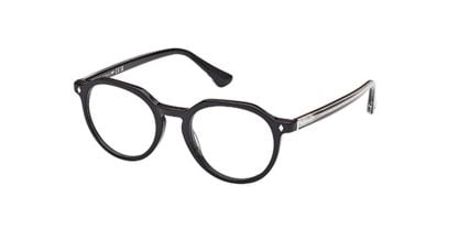 Adidas Originals WE5427 Glasses