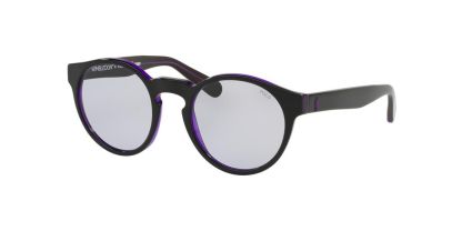 PH 4101 Ralph Lauren Sunglasses