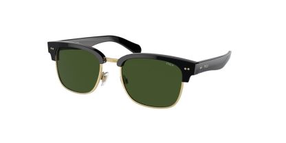 PH 4202 Ralph Lauren Sunglasses
