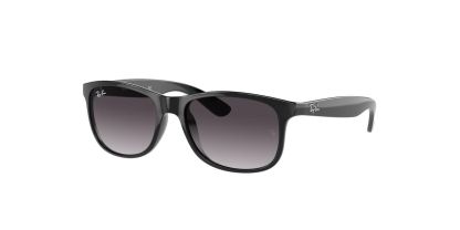 RB 4202 Ray-Ban Sunglasses
