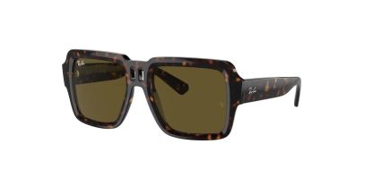 RB 4408 Ray-Ban Sunglasses