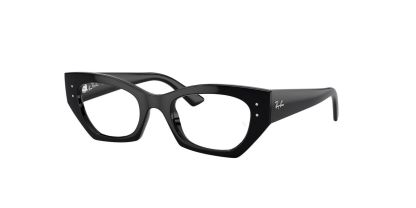RX 7330 Ray-Ban Glasses