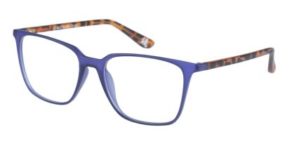 SDO Lexia Superdry Glasses