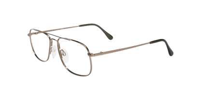 FL 44 Flexon Glasses