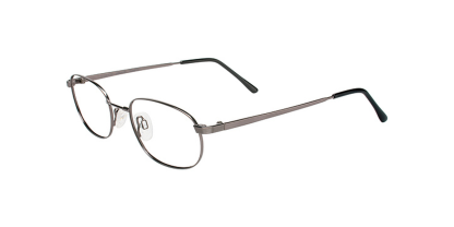 FL 55 Flexon Glasses