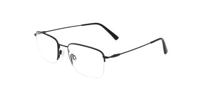 FL H6041 Flexon Glasses