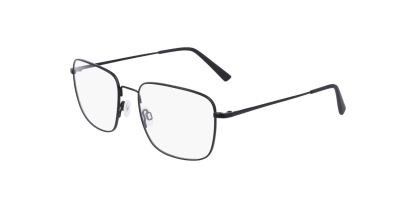 FL H6064 Flexon Glasses