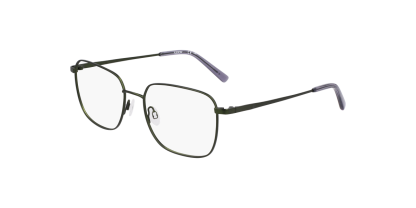 FL H6070 Flexon Glasses
