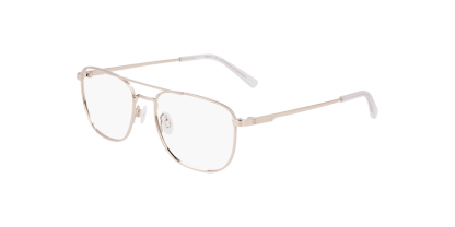 FL H6072 Flexon Glasses