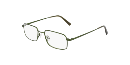 FL H6074 Flexon Glasses