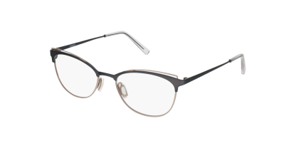 FL W3101 Flexon Glasses