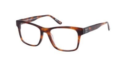 SDO-2013 Superdry Glasses