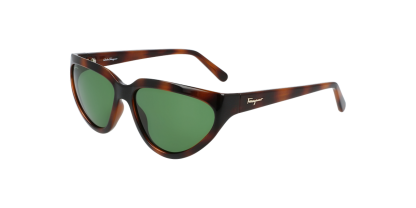 SF 1017S Salvatore Ferragamo Sunglasses