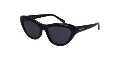 SF 1103S Salvatore Ferragamo Sunglasses