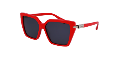 SF 1106S Salvatore Ferragamo Sunglasses