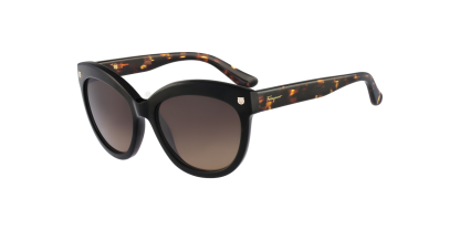 SF 675S Salvatore Ferragamo Sunglasses