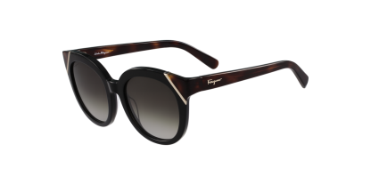 SF 836S Salvatore Ferragamo Sunglasses