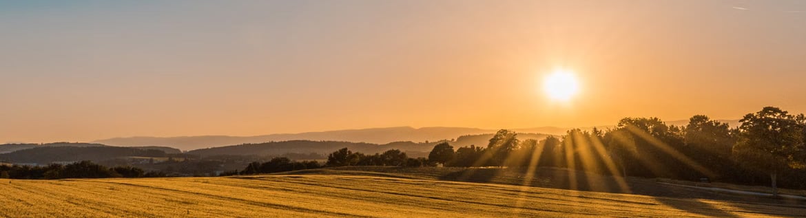 Top Tips to Protect Your Eyes From the Sun