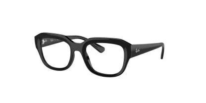 Ray-Ban Leonid Glasses