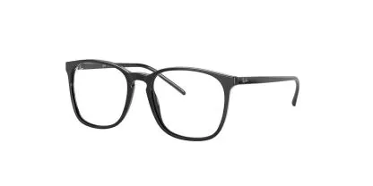 Ray-Ban RX5387 Glasses