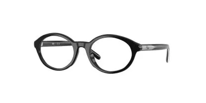 Diesel DL4015U Glasses