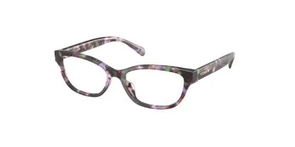 Coach HC6250U Glasses