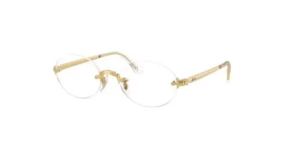 Ray-Ban RX3929V Glasses