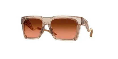 Oakley Enigma INK Glasses