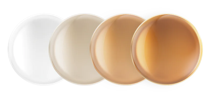 Transition Lenses in Amber Colour